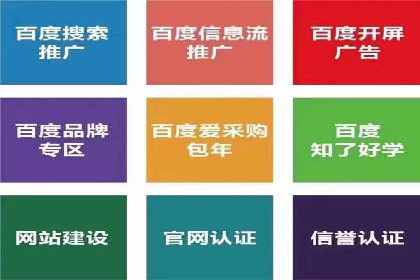 SEM托管服务，成功案例分享转化秘诀