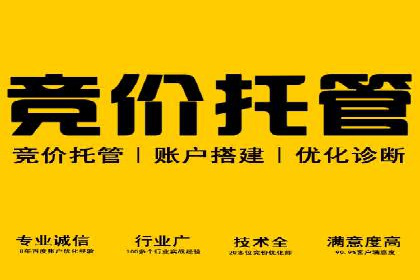 案例分析：竞价代运营助力企业品牌知名度